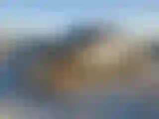 Vehicle Image- 2016 RAM 1500