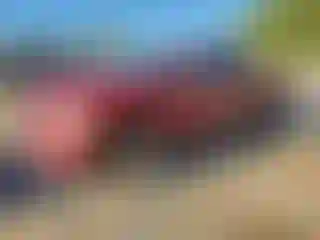 Vehicle Image- 2014 RAM 1500