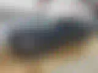 Vehicle Image- 2024 RAM 1500
