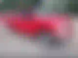 Vehicle Image- 2019 RAM 1500