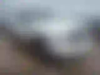 Vehicle Image- 2017 RAM 1500