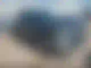 Vehicle Image- 2016 RAM 1500