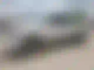 Vehicle Image- 2017 RAM 1500