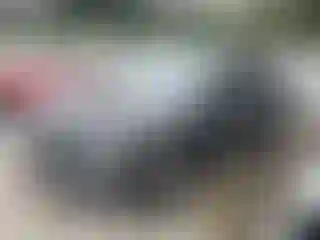 Vehicle Image- 2016 RAM 1500