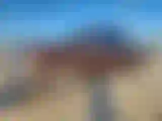 Vehicle Image- 2015 RAM 1500