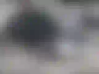 Vehicle Image- 2017 RAM 1500