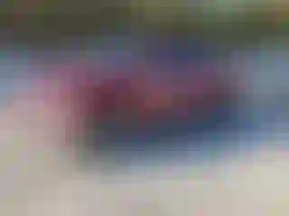 Vehicle Image- 2013 RAM 1500