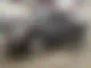 Vehicle Image- 2017 RAM 1500