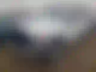 Vehicle Image- 2019 RAM 1500