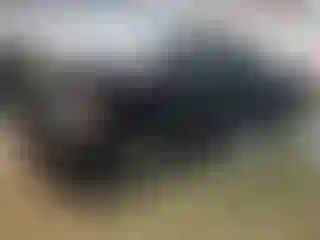 Vehicle Image- 2014 RAM 1500