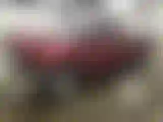 Vehicle Image- 2017 RAM 1500