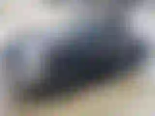 Vehicle Image- 2015 RAM 1500