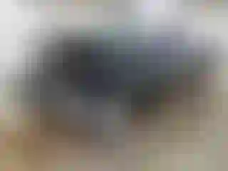 Vehicle Image- 2024 RAM 1500