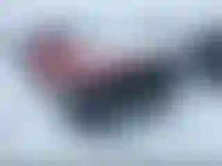 Vehicle Image- 2020 RAM 1500