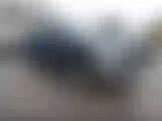 Vehicle Image- 2014 RAM 1500