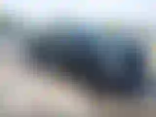 Vehicle Image- 2019 RAM 1500