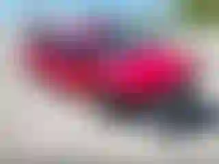 Vehicle Image- 2019 RAM 1500