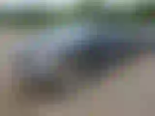 Vehicle Image- 2017 RAM 1500