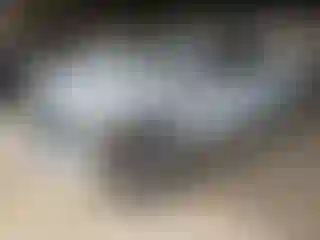 Vehicle Image- 2018 RAM 1500