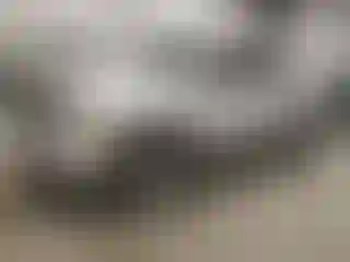 Vehicle Image- 2014 RAM 1500