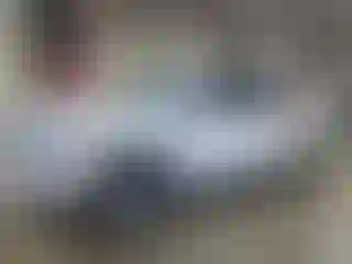 Vehicle Image- 2016 RAM 1500