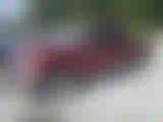 Vehicle Image- 2019 RAM 1500