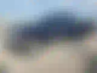 Vehicle Image- 2015 RAM 1500