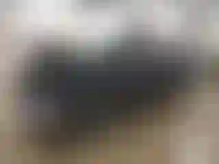 Vehicle Image- 2017 RAM 1500