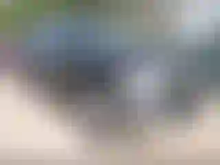 Vehicle Image- 2019 RAM 1500