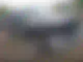 Vehicle Image- 2015 RAM 1500