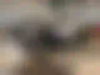 Vehicle Image- 2013 RAM 1500