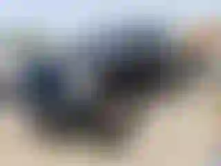 Vehicle Image- 2013 RAM 1500