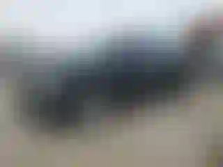 Vehicle Image- 2014 RAM 1500