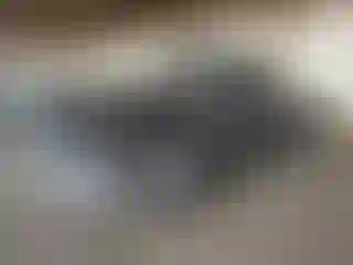 Vehicle Image- 2017 RAM 1500