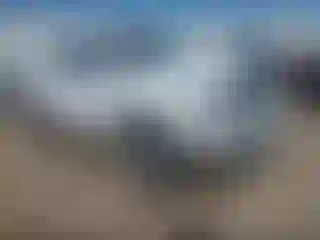 Vehicle Image- 2016 RAM 1500