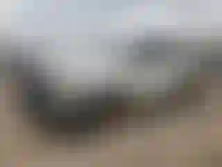 Vehicle Image- 2013 RAM 1500