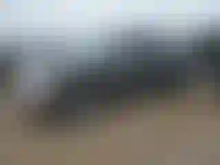 Vehicle Image- 2015 RAM 1500