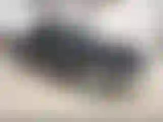 Vehicle Image- 2019 RAM 1500