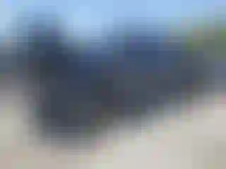 Vehicle Image- 2017 RAM 1500