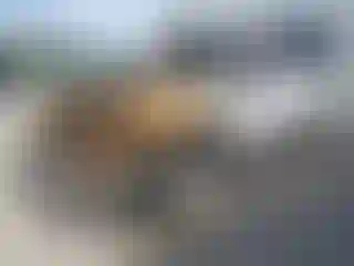 Vehicle Image- 2023 RAM 1500