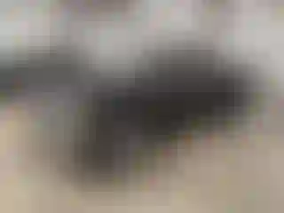 Vehicle Image- 2016 RAM 1500