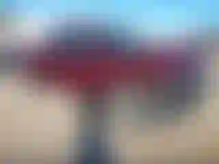 Vehicle Image- 2023 RAM 1500