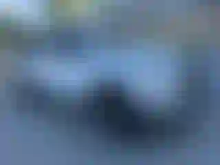 Vehicle Image- 2020 RAM 1500