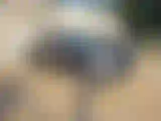 Vehicle Image- 2020 RAM 1500