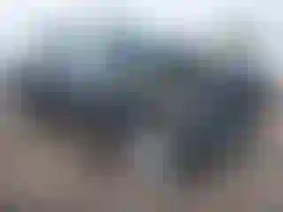 Vehicle Image- 2019 RAM 1500