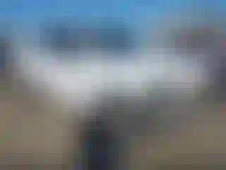 Vehicle Image- 2019 RAM 1500
