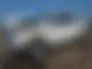 Vehicle Image- 2024 RAM 1500