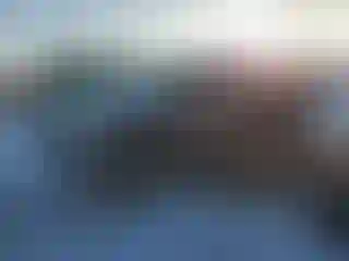 Vehicle Image- 2021 RAM 1500