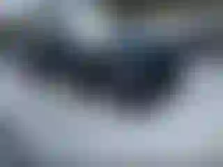 Vehicle Image- 2023 RAM 1500
