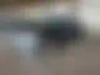 Vehicle Image- 2022 RAM 1500